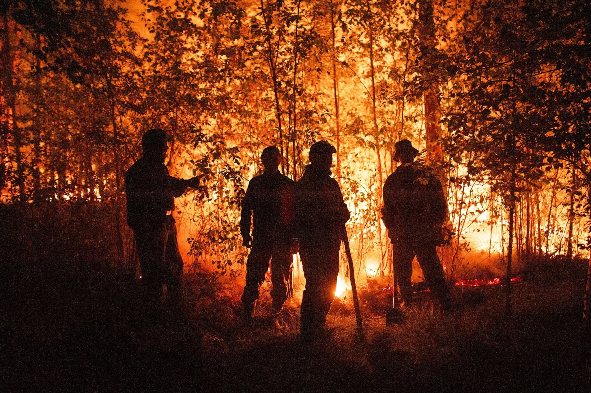 Action-Packed Fun With Wild Fire Events