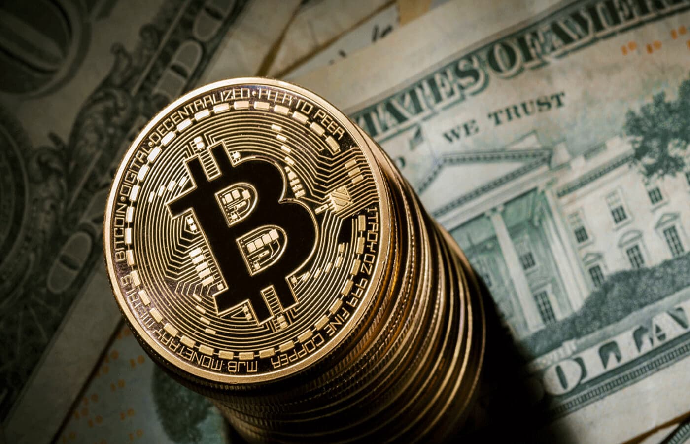 Community Winna Review Bitcoin Talk Users Speak Out