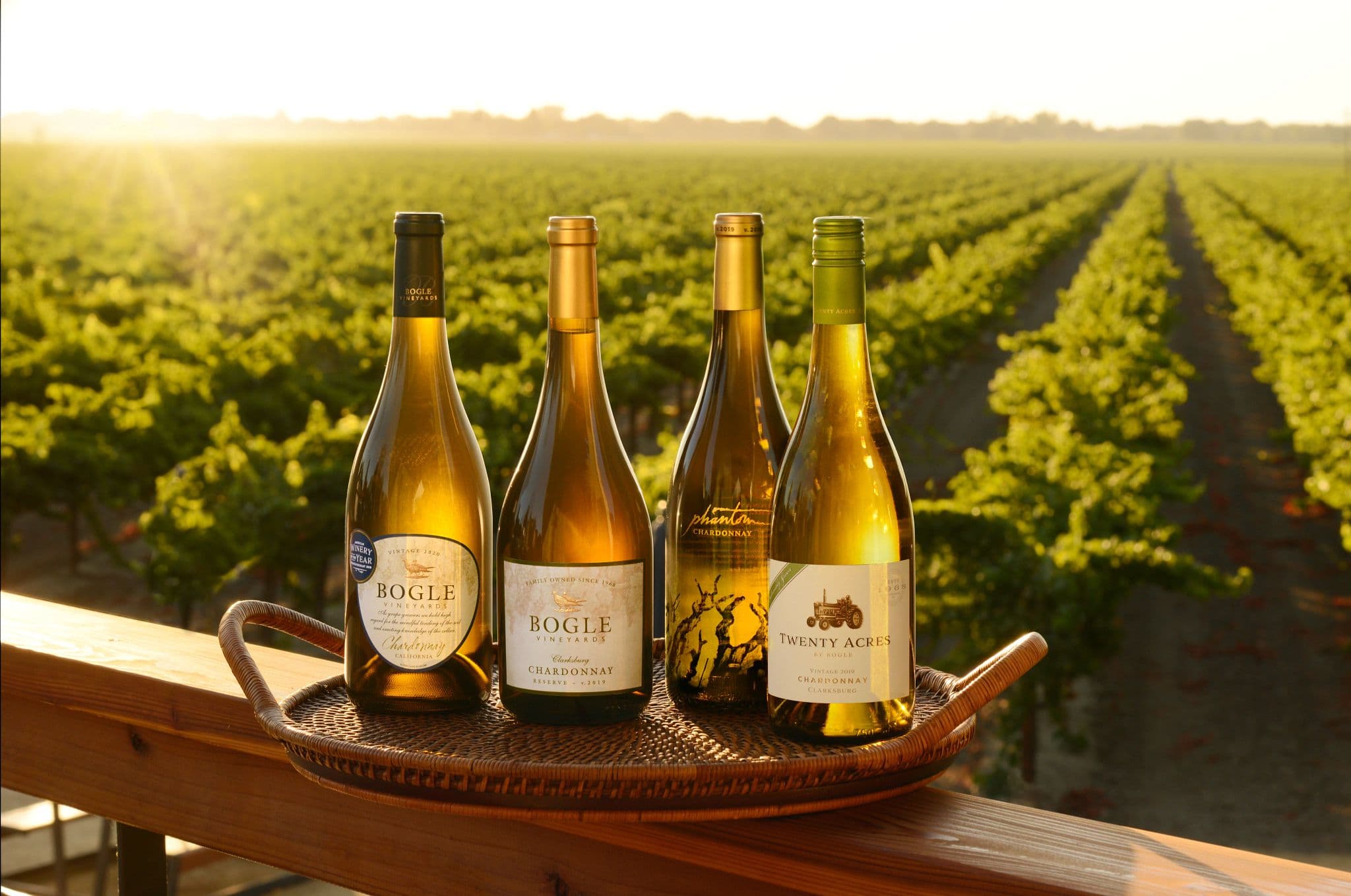 Things to Do in Clarksburg CA for Wine Lovers