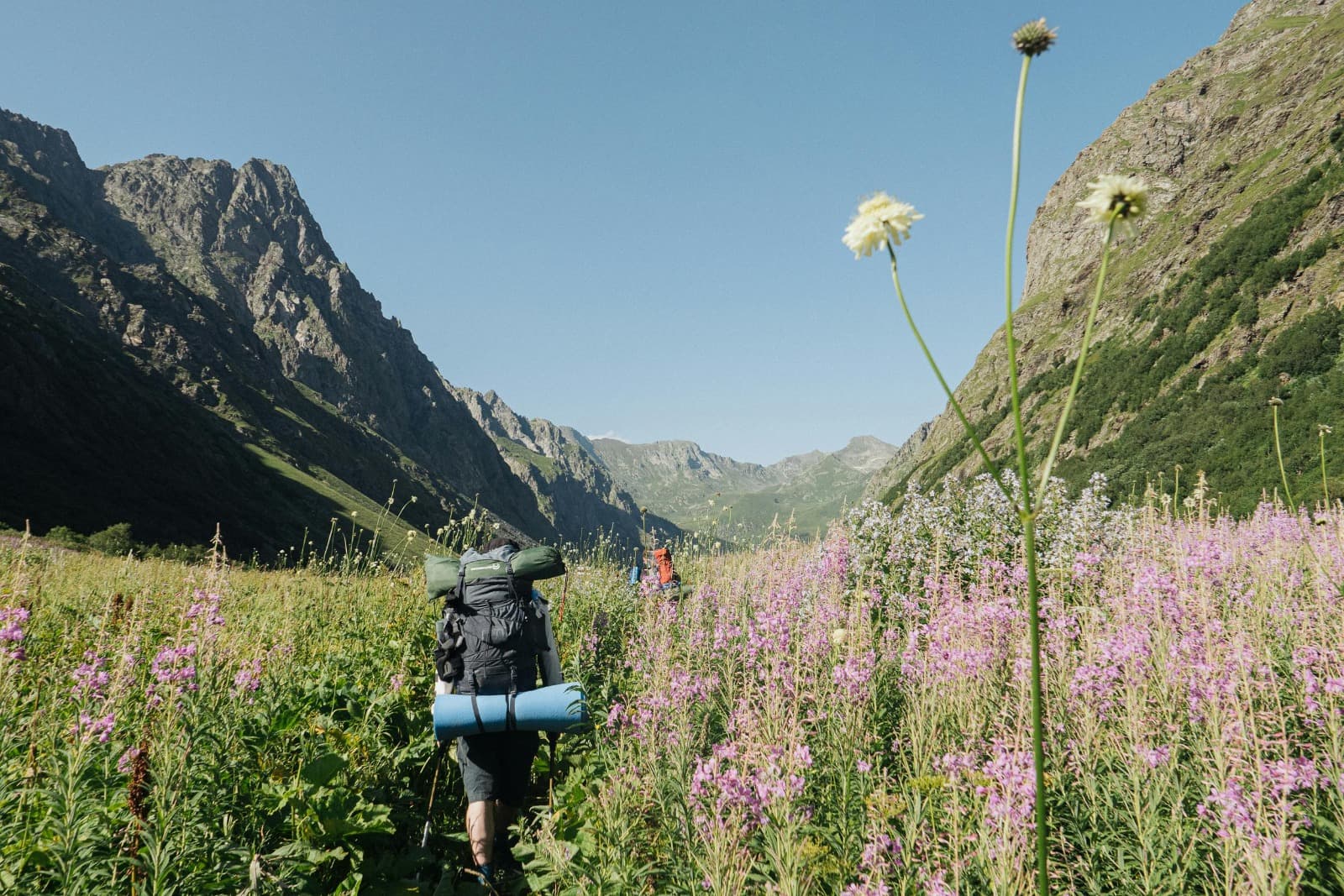Cool Hiking Trails for Peaceful and Adventurous Walks