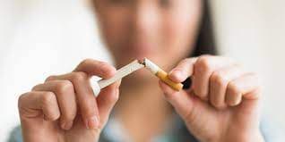My Native Smokes Offers Quality Zyn Pouches Canada Products