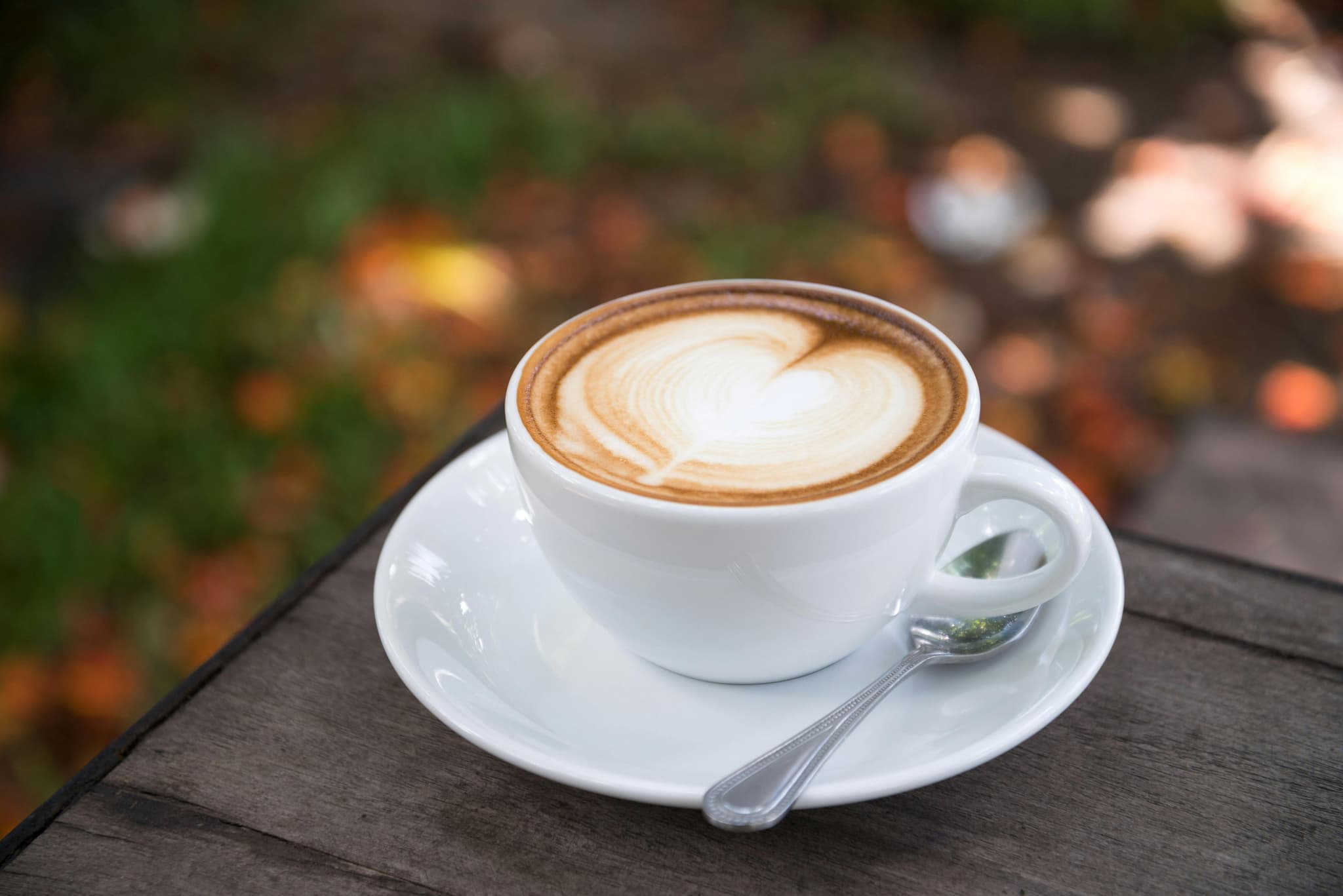 Tổng hợp Giá cà phê hôm nay: Robusta, Arabica và xu hướng thị trường