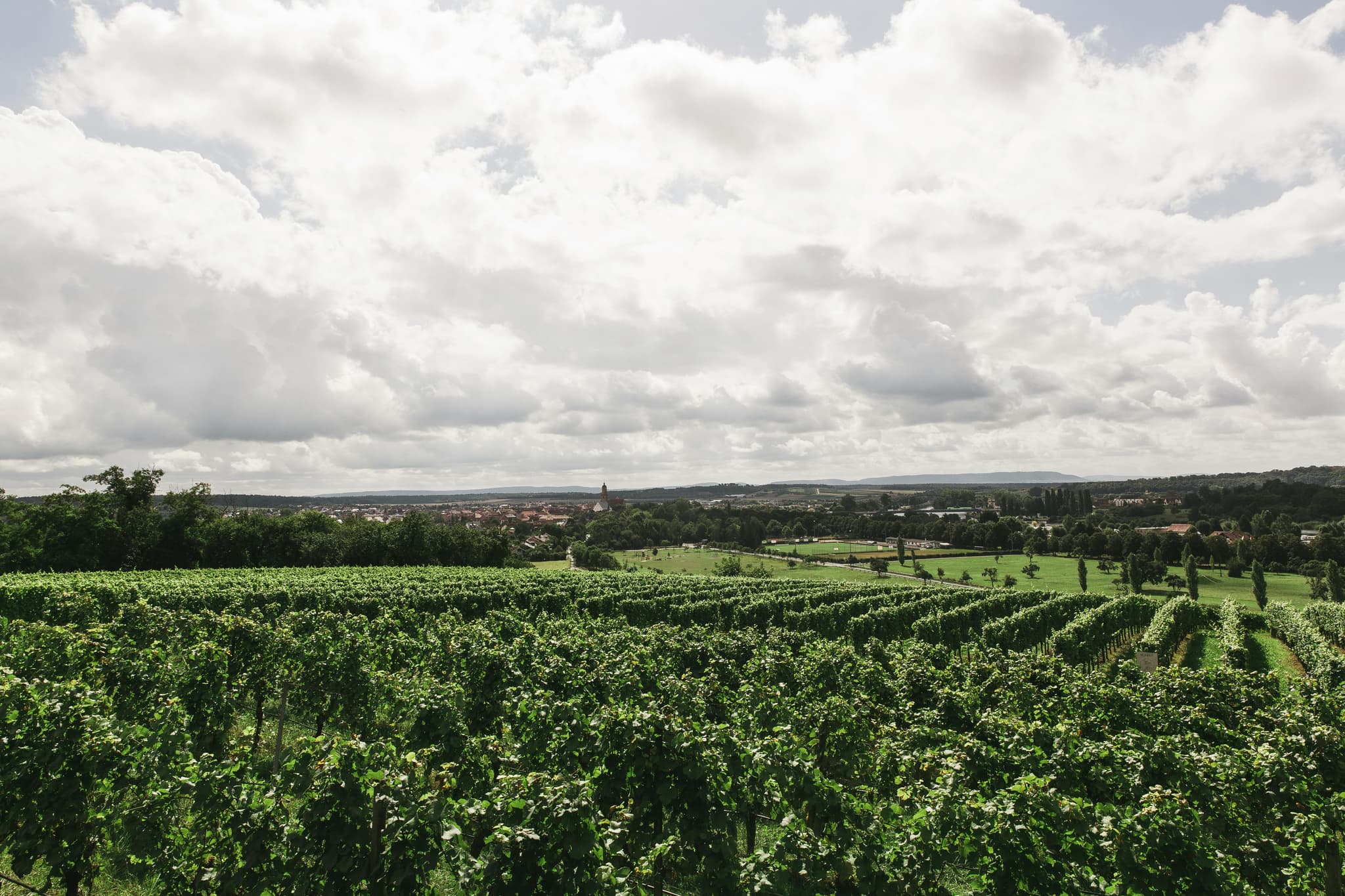 Celebrate Special Occasions at Sacramento Wineries