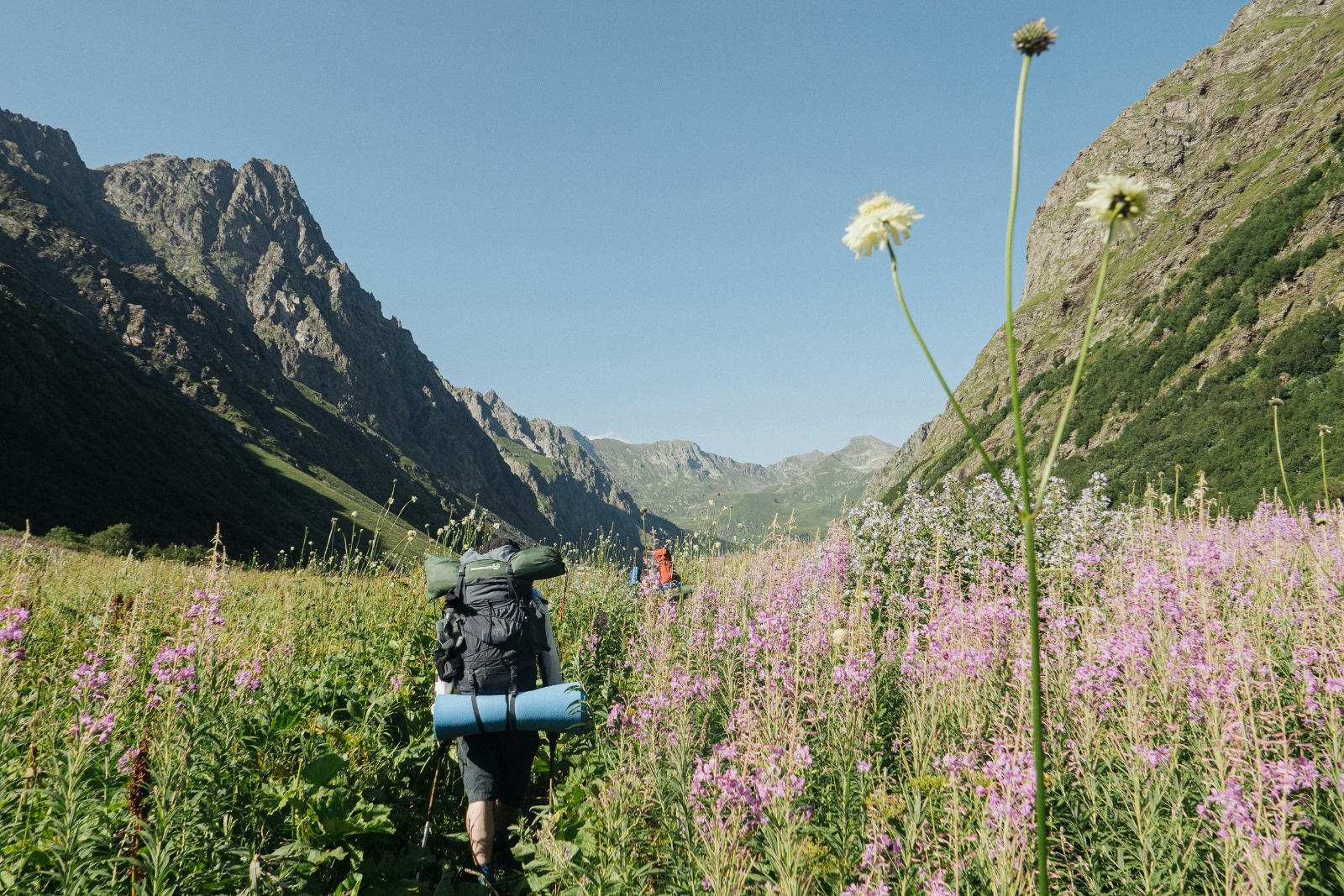 Cool Hiking Trails for Peaceful and Adventurous Walks