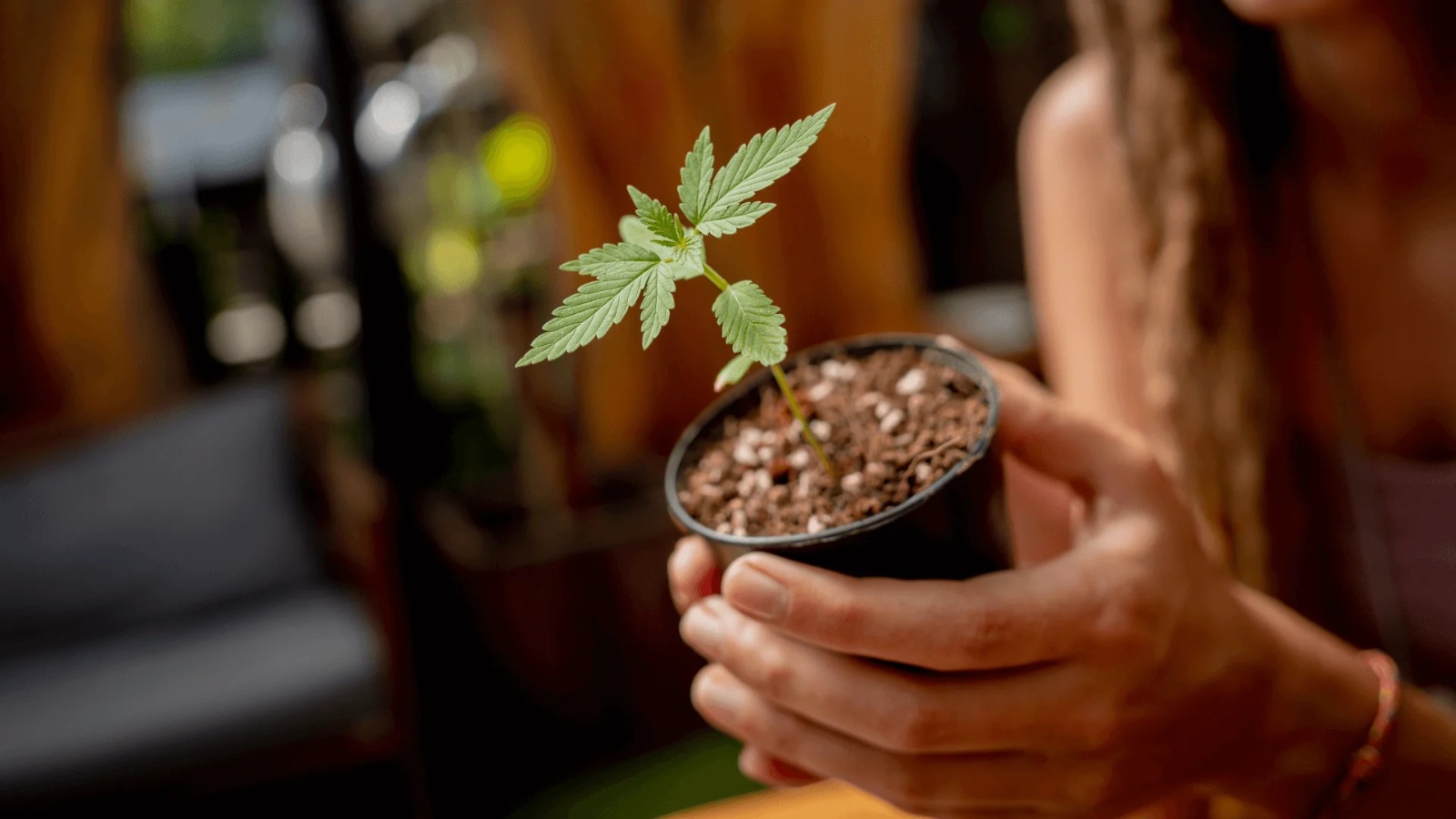 The Ultimate Marijuana Madrid Experience with Clubs Cannabis Madrid