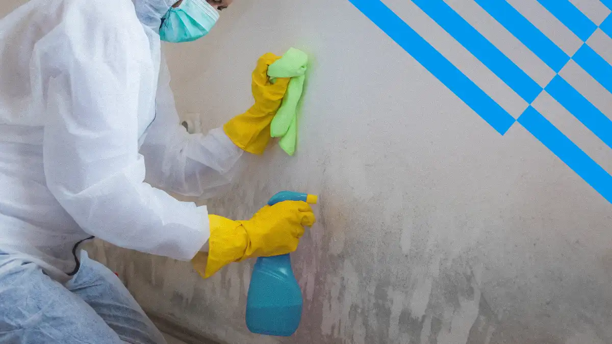 Expert Cleaning Solutions for mold remediation barton creek austin tx